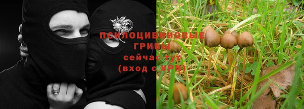 ALPHA-PVP Елизово
