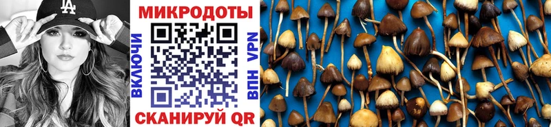 Купить  Рыльск  Псилоцибиновые грибы ЛСД 
